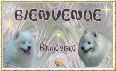 Bienvenue